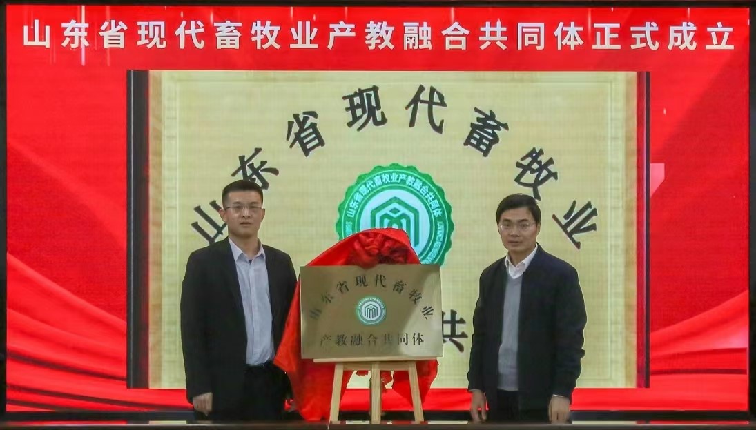 修圖3.jpg