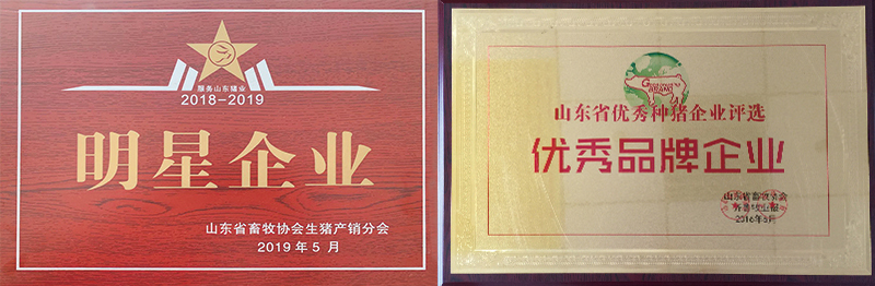未標題-1.jpg